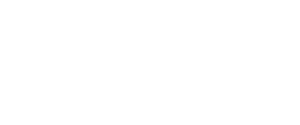 Website hanoi final 04