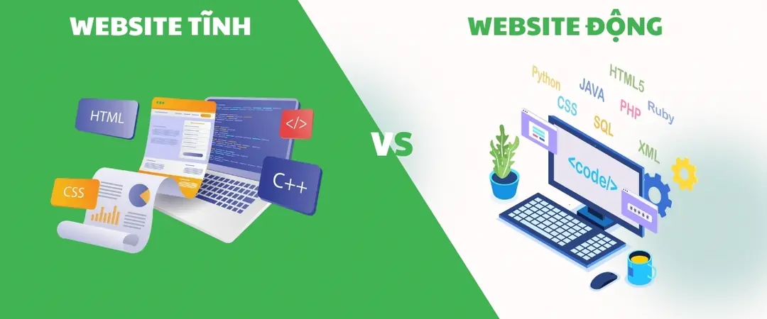 Website tĩnh và website động